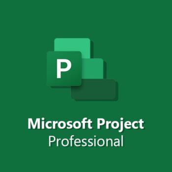 Microsoft Project Professional Online Lifetime