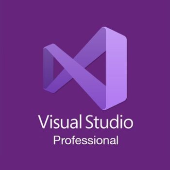 Microsoft Visual Studio Lifetime